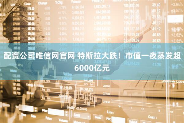 配资公司唯信网官网 特斯拉大跌！市值一夜蒸发超6000亿元